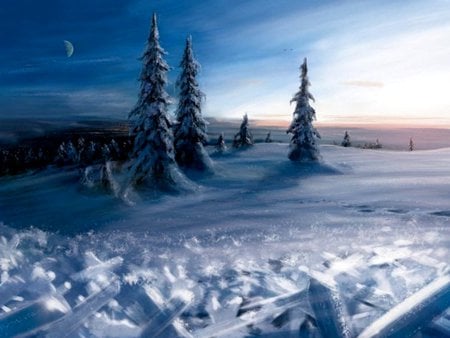 WINTER SNOW - moon, trees, winter, snow, dusk, forest, sky