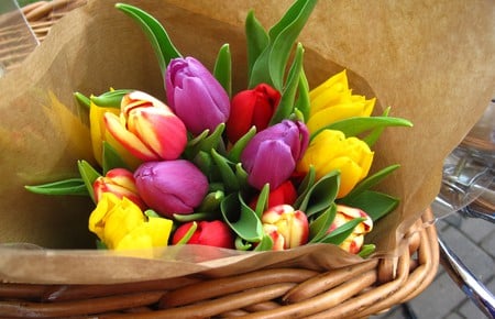 Tulips - gift, colorful, bouquet, still life, spring, purple, yellow, harmony, fresh, nature, 02, beautiful, tulip, 09, 12, elegantly, nice, beauty, freshness, 20, bloom, photography, delicate, tulips, basket, pretty, fields, love, colored, lovely, red, colors, flowers