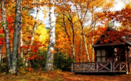 Autumn - landscape, grass, forest, leaves, houses, cottage, woods, house, trees, beautiful, beauty, colors, lovely, colorful, nature, autumn, peaceful