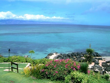 Incredible View - beautiful, view, plants, grass, ocean, rocks