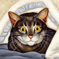Fantastic eye cat