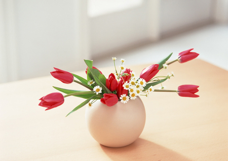 Flowers in vase - bouquet, vase, tulip, still life