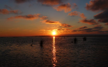 Sunset - nature, nice, ocean, landscape, sun