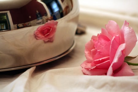 pink rose reflection - art photo, reflection, table, still life, nature, pink rose