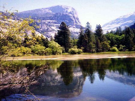 Beautiful lake - water, lake, tree, landscape