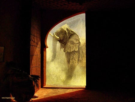 elephants door - art photo, door, animals, fantasy, elephant