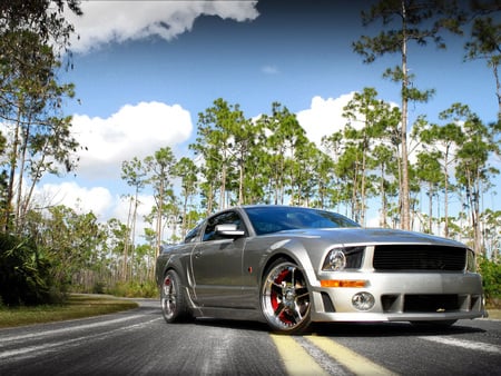 Mustang - ford, silver, mustang, car