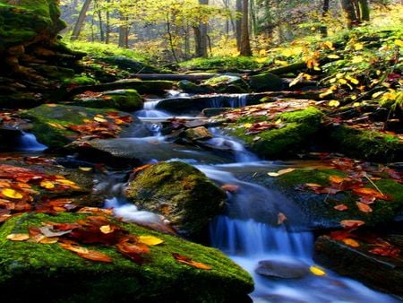 BEAUTIFUL NATURE - green, stones, trees, river