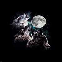 3 WOLF MOON