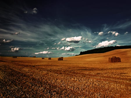 Vista Recolor - dark sky, field, wheat, golden