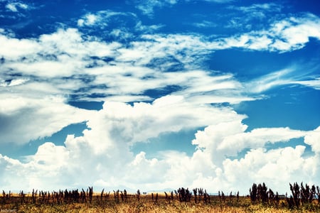 Cloudscape - clouds, field, blue, sky