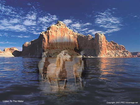 Horses - beauty, water, horses, mystical