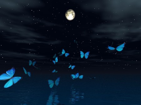 MOONLIGHT BUTTERFLY - sky, stars, reflection, blue, night, water, moonlight, butterflies