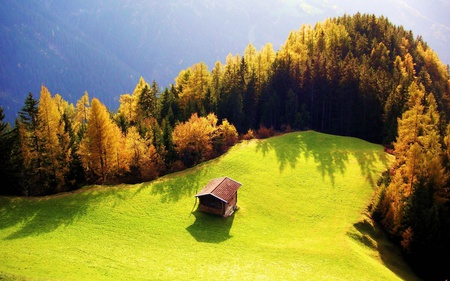 Curvy landscape - field, nature, green, curve