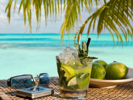 Mojito anyone?