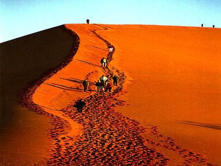 DUNE - nature, orange, beauty, mistery