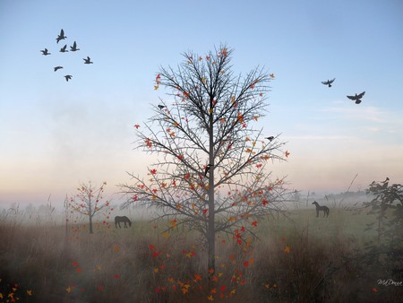 Autumn Morning Dawn - fall, trees, birds, horses, sunrise, washington, sky, leaves