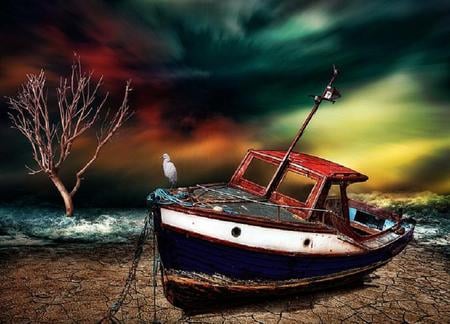 Time passing - lake, beach, trees, stormy sky, shore, aging, gull, boat, sand clouds