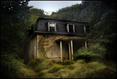 House - house, lonely, forrest, woods, scary