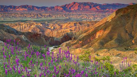 Mountain - flowers, nature, mountain, sky