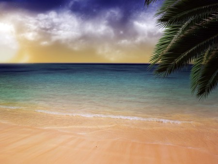 Sweet beach - beach, sand, palm, water