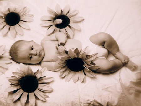 Sweet baby among sunflowers - sunflower, baby, flower, sepia