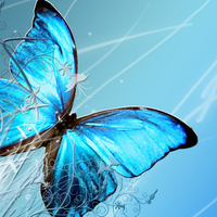 Blue Butterfly