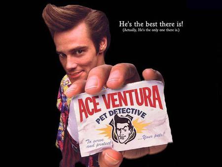 Ace Ventura - Pet Detective - comedy, jim carrey, ace ventura, comedies