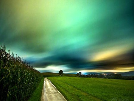 Long way home - trees, road, grass, field, aqua and gold sky, corn fields