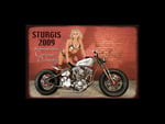 Sturgis 2009