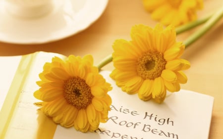 Yellow flowers - nice, beauty, yellow flowers, nature, yellow flower, cool, pretty, yellow, beautiful, books, sweet, flowers, cute, writing letters, flower