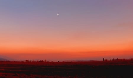 Rose valley - photo, bulagaria, rose, sunset