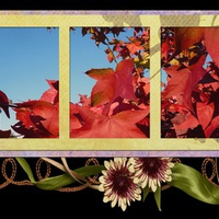 Autumn Framed