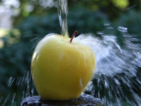 A passion for apples - fruit, wash, yellow, apple