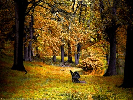 Autumn Bench - fall, bench, art photo, beaztiful, nature, park, autumn