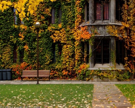 Autumn Bench 2 - house, autumn fall, nature, beautiful, lamplighter, art photo, bench