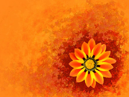 Autumn flower - orange, autumn, abstract, flower