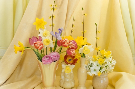 Still Life - pretty, yellow, beautiful, photography, colors, daffodils, still life, vases, flowers, tulips