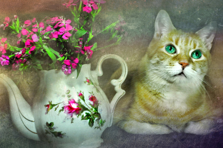 Beautiful cat - flowers, cat, pink, vase