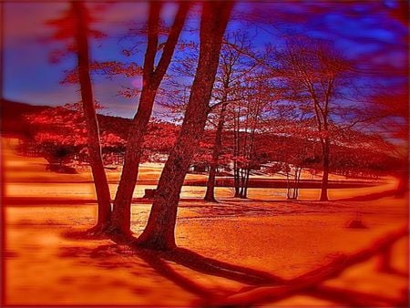 BEAUTIFUL NATURE - brown, red, blue, orange, colors