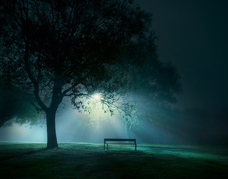 Night light - bench, night, light, fog