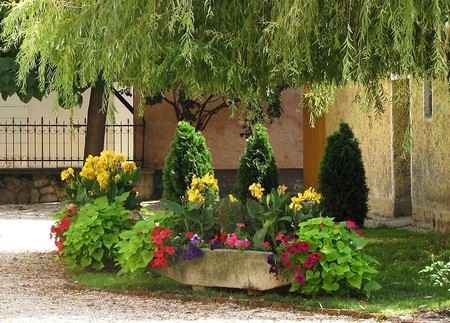 Flowery yard - still, colours, trees, green, beauty, spring, houses, flower