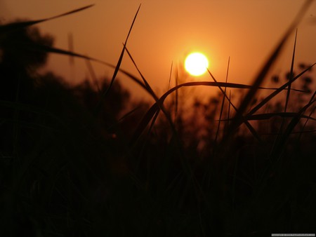 Sunset - nights, sky, beauty, orange, sunset, nature, other