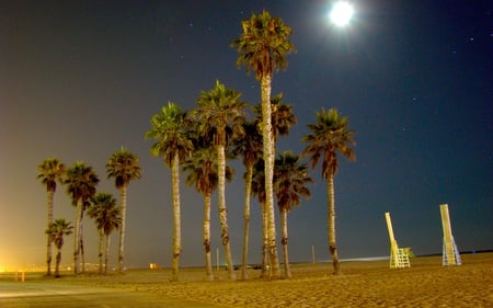 Two Chairs - trees, beaches, chairs, night, stars, moonlight, palm, nature, clear, sky