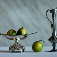 Silver Still Life