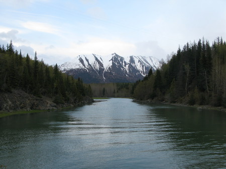 River to Mountains - forest, banks, snow, alaska, river, mountains, pine trees