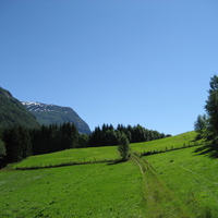 Fjord Fields