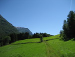 Fjord Fields