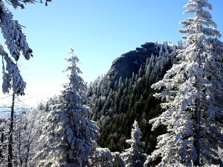 winter - white, winter, nature, blue, green, mountains, tree, sky