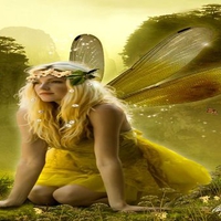 FAIRY AND BUTTERFLYS